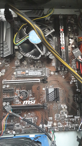 15308011352988433956