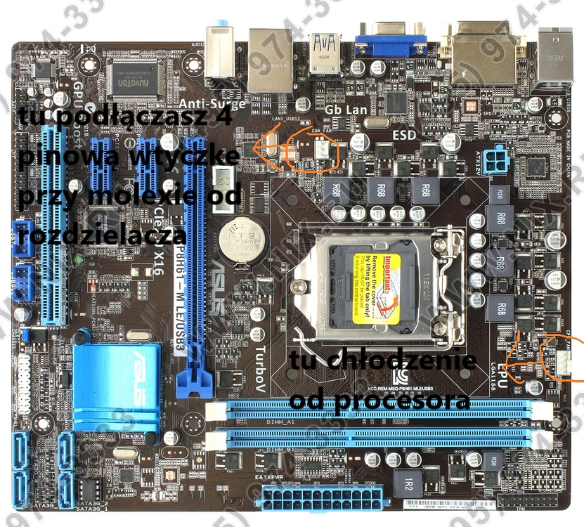 Asus m le. ASUS h61m le. ASUS p8h61-m. Материнская плата асус p8h61-m. ASUS p8h61 le.