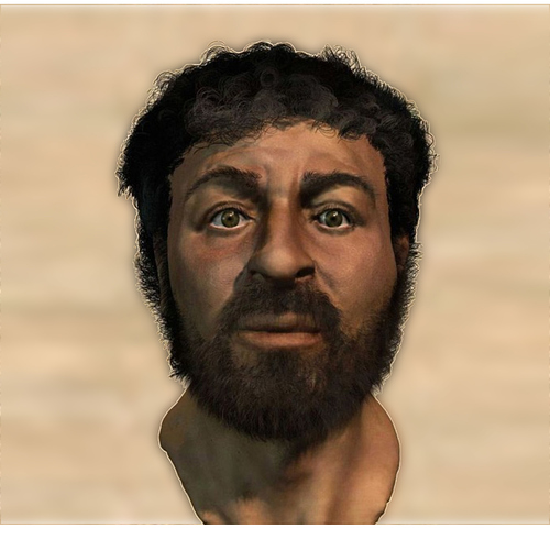 facefj