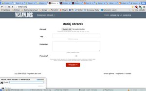 chromium-debian1_PNG_300x300_q85.jpg