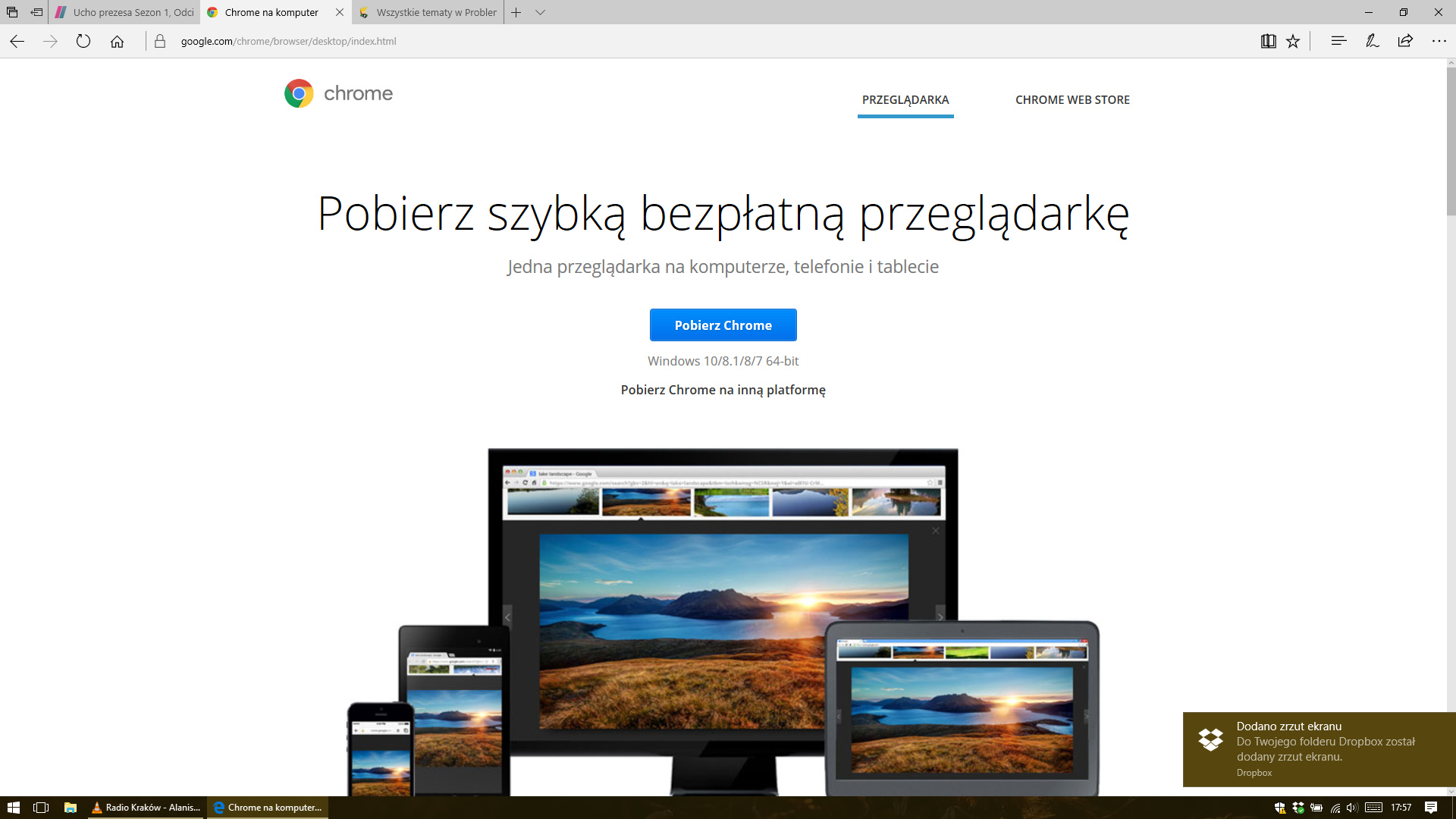 Официальная google chrome